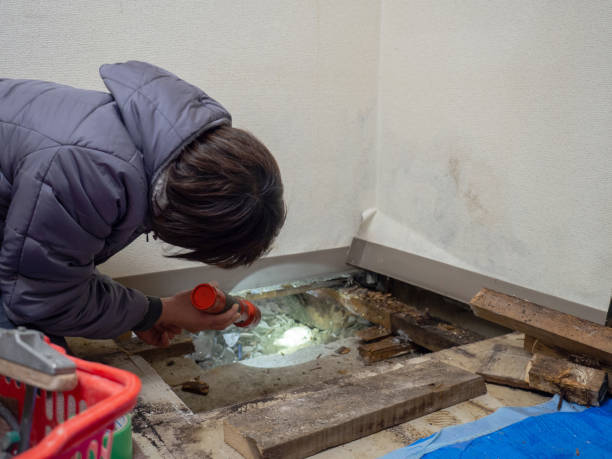 Best Environmental Consulting for Mold Prevention  in Bradford, TN