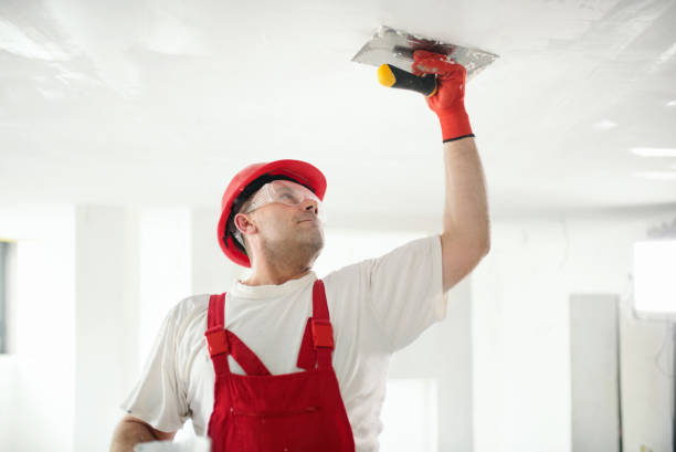  Bradford, TN Mold Removal Pros