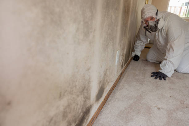 Best Residential Mold Inspection & Testing  in Bradford, TN