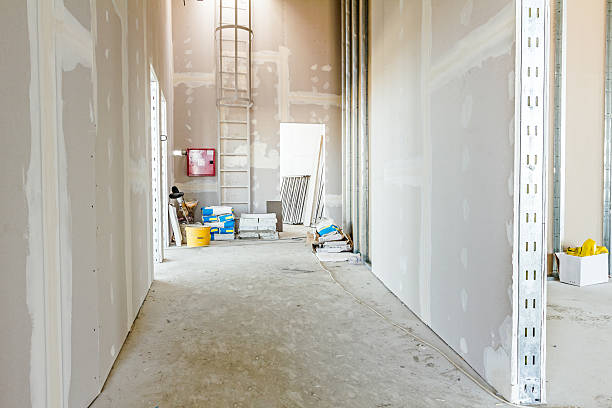 Best Attic Mold Removal  in Bradford, TN