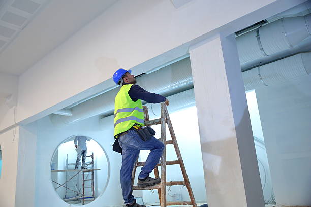 Best Attic Mold Removal  in Bradford, TN