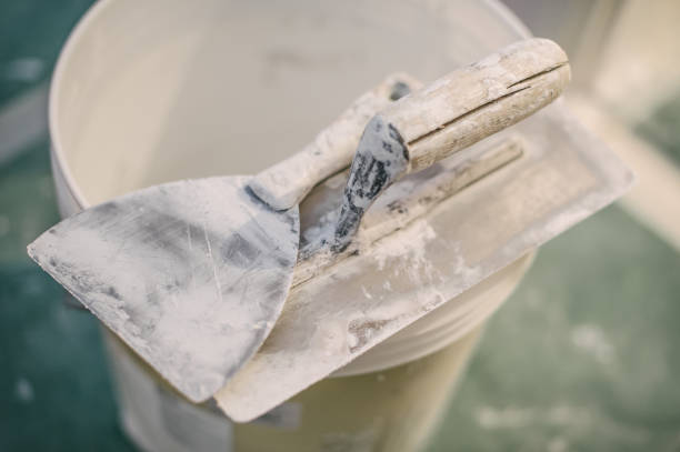 Best Black Mold Removal  in Bradford, TN