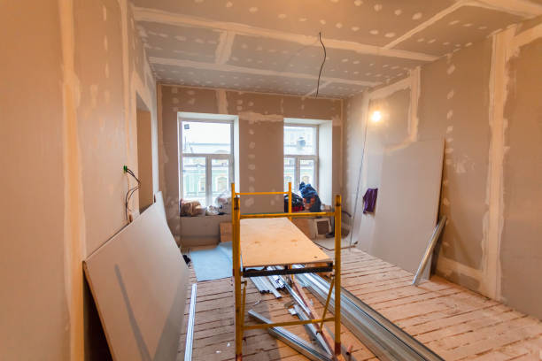 Best Basement Mold Removal  in Bradford, TN
